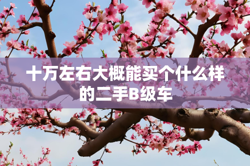 十万左右大概能买个什么样的二手B级车