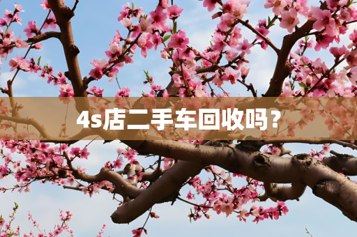 4s店二手车回收吗？