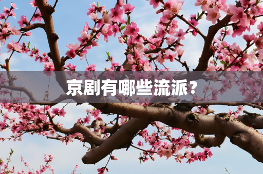京剧有哪些流派？