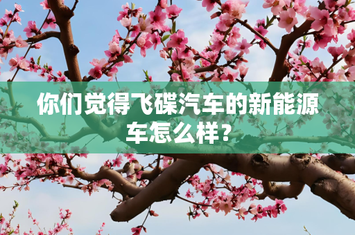 你们觉得飞碟汽车的新能源车怎么样？