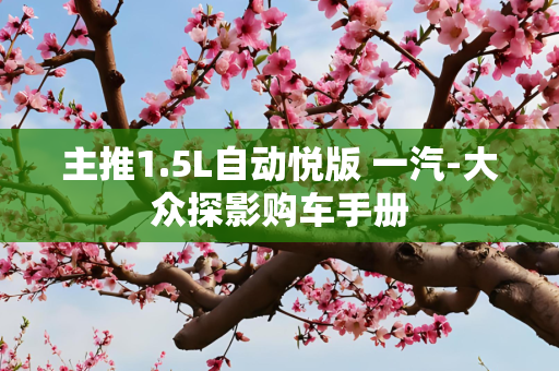 主推1.5L自动悦版 一汽-大众探影购车手册