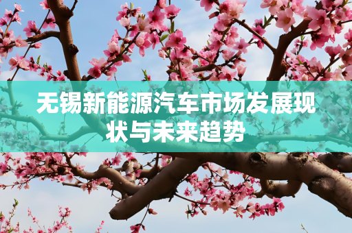 无锡新能源汽车市场发展现状与未来趋势