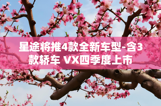 星途将推4款全新车型-含3款轿车 VX四季度上市