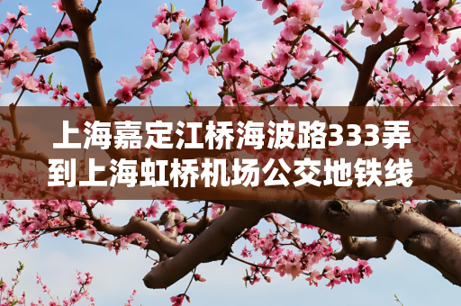 上海嘉定江桥海波路333弄到上海虹桥机场公交地铁线路