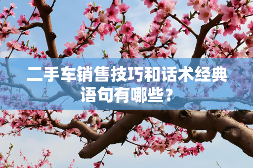 二手车销售技巧和话术经典语句有哪些？