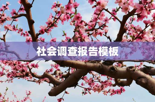 社会调查报告模板