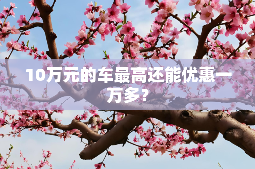 10万元的车最高还能优惠一万多？