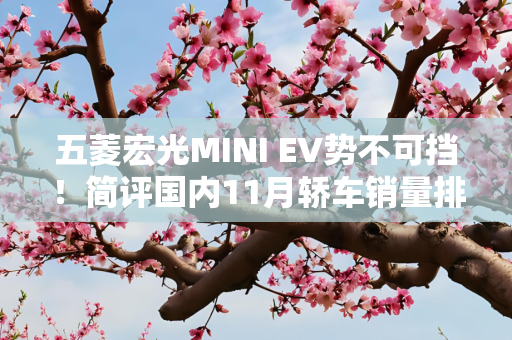 五菱宏光MINI EV势不可挡！简评国内11月轿车销量排名