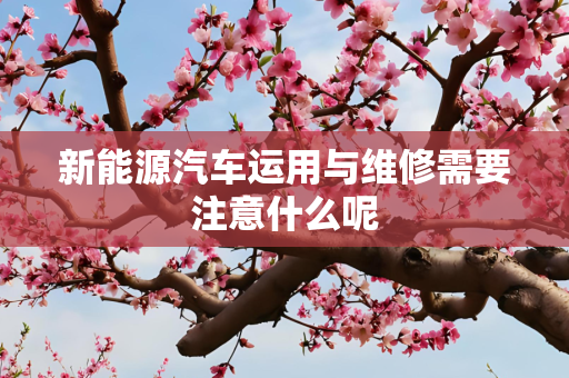 新能源汽车运用与维修需要注意什么呢