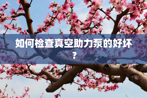 如何检查真空助力泵的好坏？