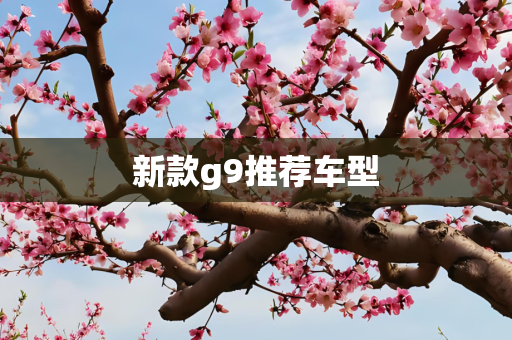 新款g9推荐车型