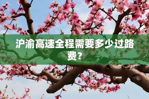 沪渝高速全程需要多少过路费？