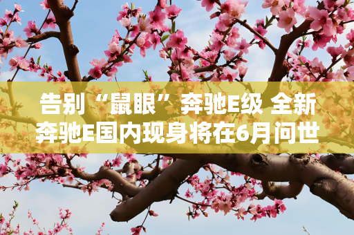 告别“鼠眼”奔驰E级 全新奔驰E国内现身将在6月问世