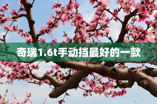 奇瑞1.6t手动挡最好的一款