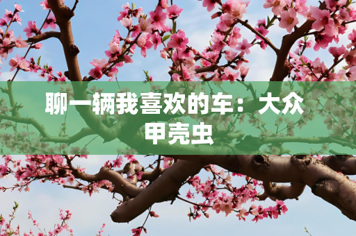 聊一辆我喜欢的车：大众 甲壳虫