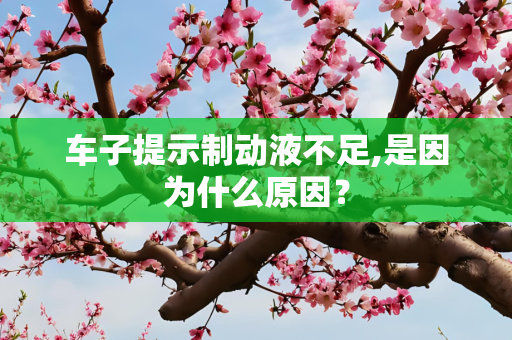 车子提示制动液不足,是因为什么原因？