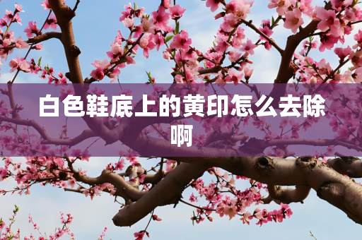 白色鞋底上的黄印怎么去除啊