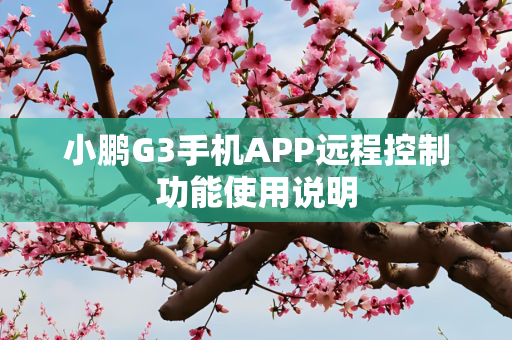 小鹏G3手机APP远程控制功能使用说明