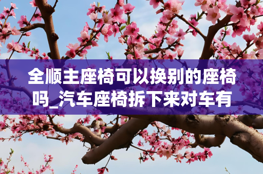 全顺主座椅可以换别的座椅吗_汽车座椅拆下来对车有影响吗