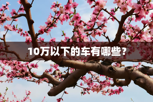 10万以下的车有哪些？