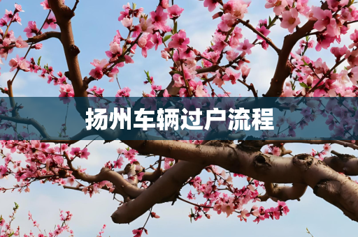 扬州车辆过户流程
