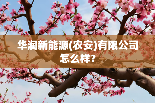 华润新能源(农安)有限公司怎么样？