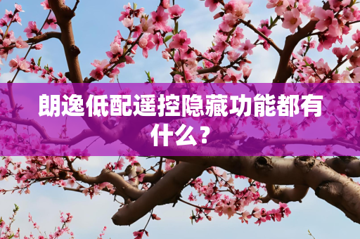 朗逸低配遥控隐藏功能都有什么？