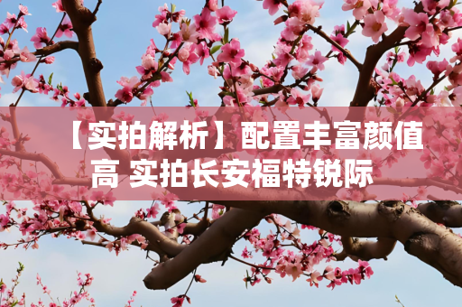 【实拍解析】配置丰富颜值高 实拍长安福特锐际