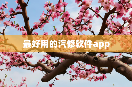 最好用的汽修软件app