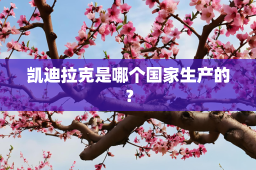 凯迪拉克是哪个国家生产的？