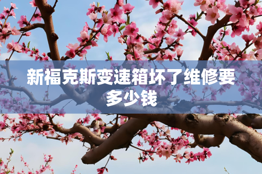 新福克斯变速箱坏了维修要多少钱