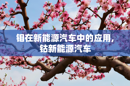 钼在新能源汽车中的应用,钴新能源汽车