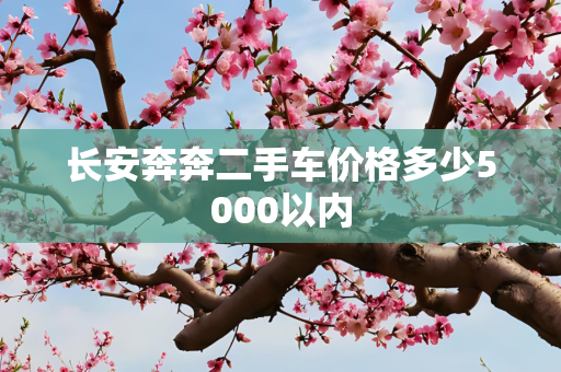 长安奔奔二手车价格多少5000以内