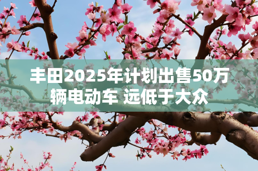 丰田2025年计划出售50万辆电动车 远低于大众