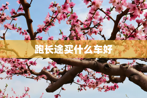 跑长途买什么车好