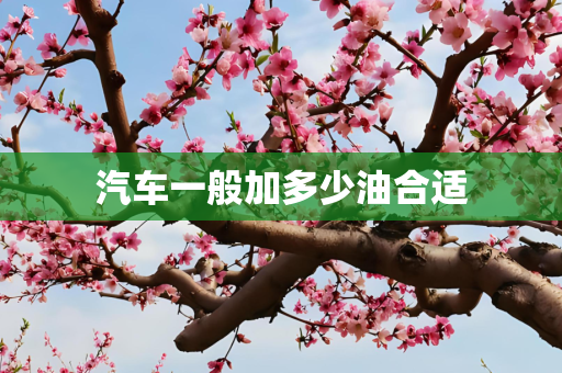 汽车一般加多少油合适