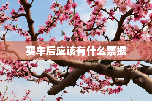 买车后应该有什么票据