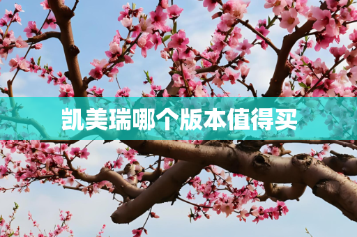 凯美瑞哪个版本值得买
