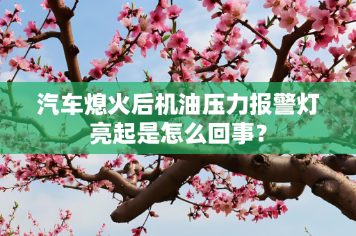 汽车熄火后机油压力报警灯亮起是怎么回事？