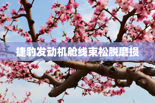 捷豹发动机舱线束松脱磨损