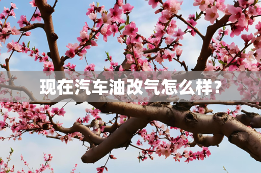 现在汽车油改气怎么样？