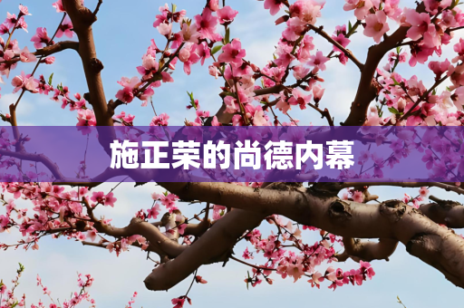 施正荣的尚德内幕