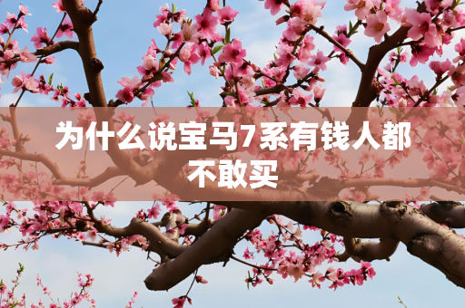 为什么说宝马7系有钱人都不敢买