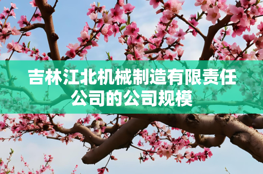 吉林江北机械制造有限责任公司的公司规模