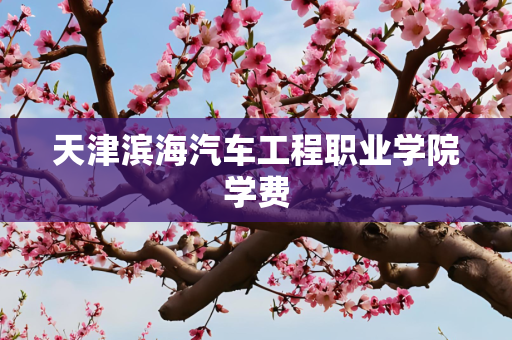 天津滨海汽车工程职业学院学费