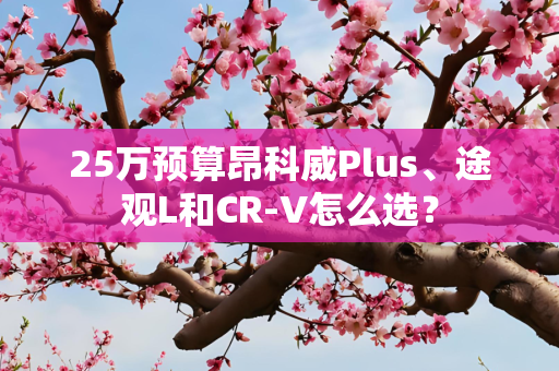 25万预算昂科威Plus、途观L和CR-V怎么选？