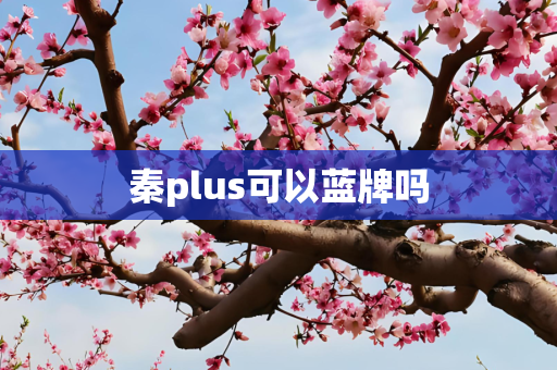 秦plus可以蓝牌吗