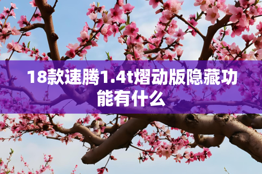 18款速腾1.4t熠动版隐藏功能有什么