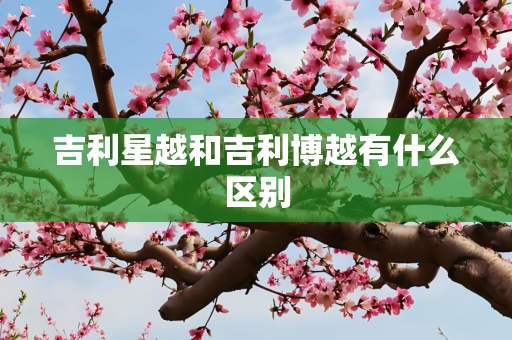 吉利星越和吉利博越有什么区别
