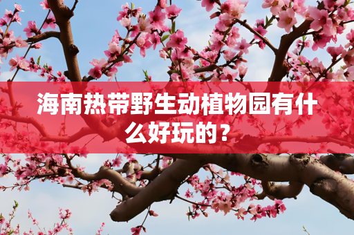 海南热带野生动植物园有什么好玩的？